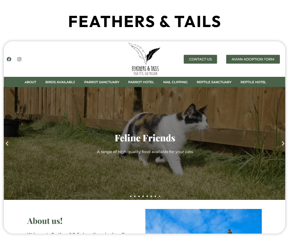Feathers